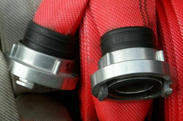 В Саратове при пожаре в зоопарке погибли более 40 зверей