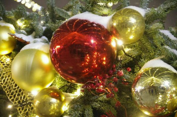 В Запорожской и Херсонской областях отменили комендантский час в ночь на Рождество