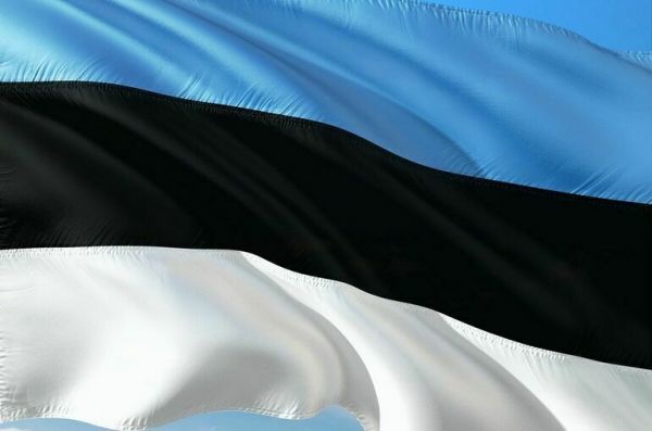 Власти Эстонии прекратят финансирование русскоязычного образования
